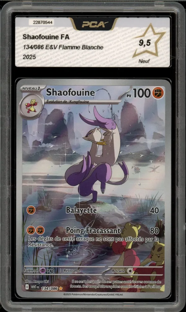 PCA 9.5 Shaofouine