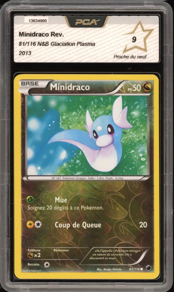 PCA 9 Minidraco Reverse