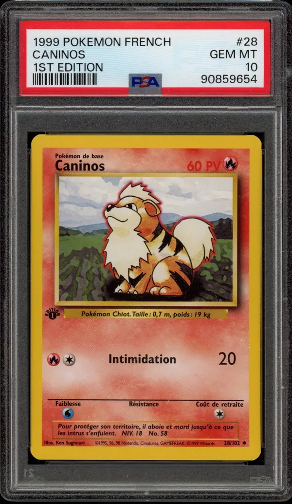 PSA 10 Caninos