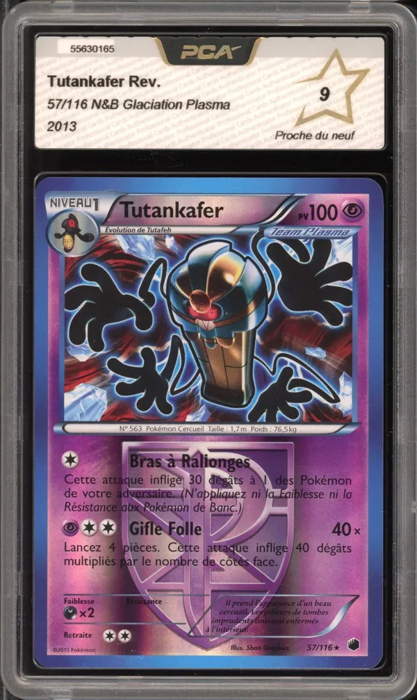 PCA 9 Tutankafer Reverse