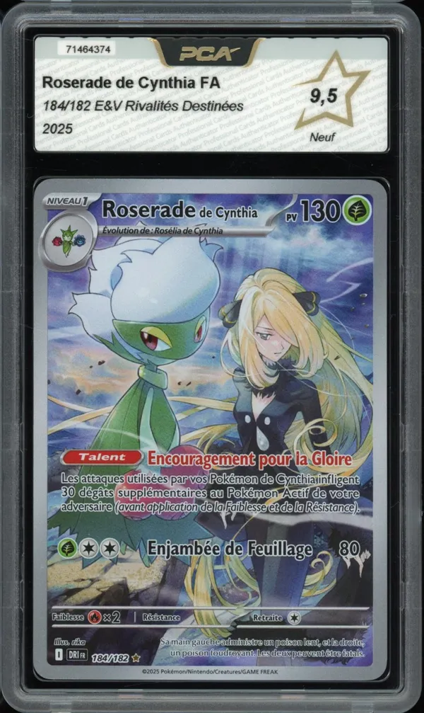 PCA 9.5 Roserade de Cynthia