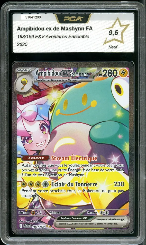 PCA 9.5 Ampibidou Ex de Mashynn