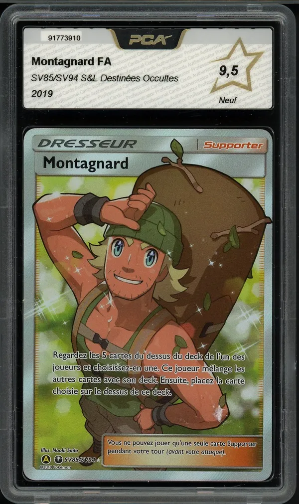PCA 9.5 Montagnard