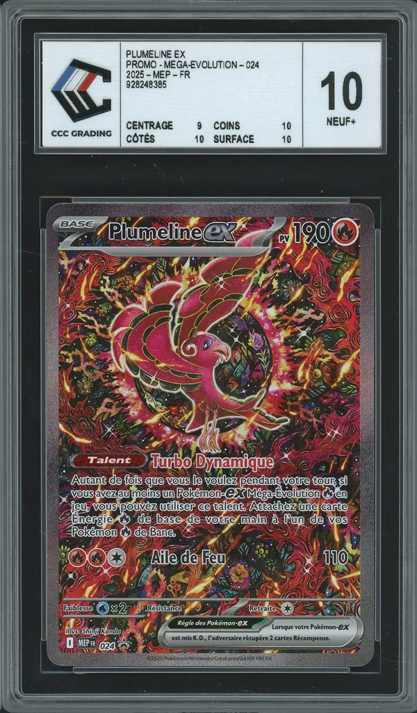 CCC 10 Plumeline Ex