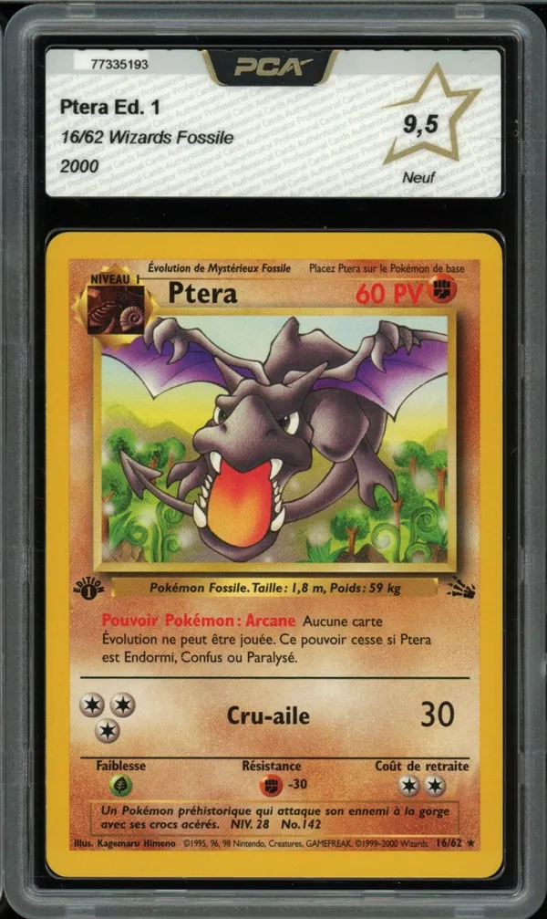 PCA 9.5 Ptéra