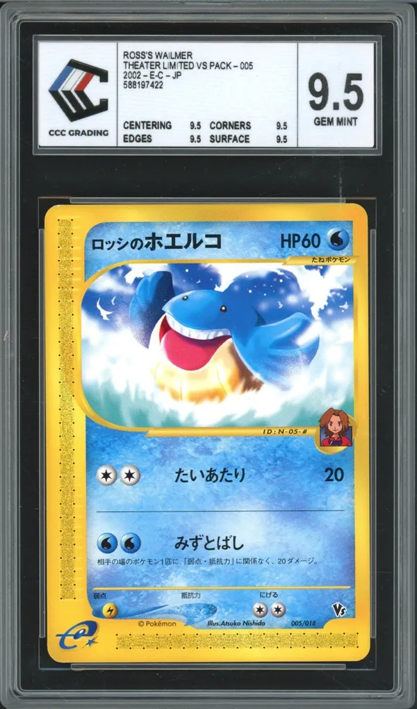 CCC 9.5 Ross's Wailmer