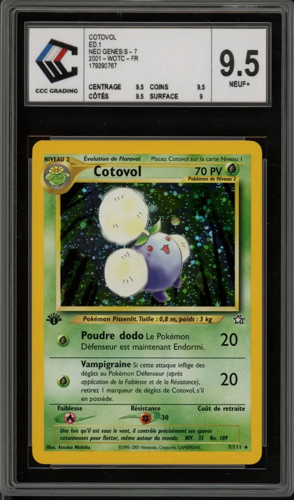 CCC 9.5 Cotovol Holo