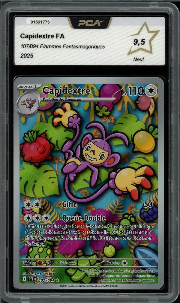 PCA 9.5 Capidextre