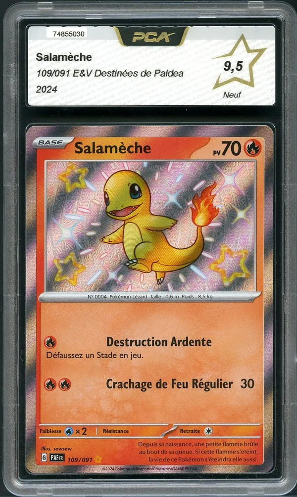 PCA 9.5 Salamèche Shiny