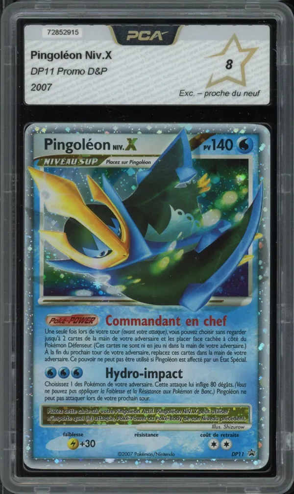 PCA 8 Pingoléon Niv. X