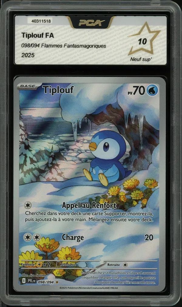 PCA 10 Tiplouf
