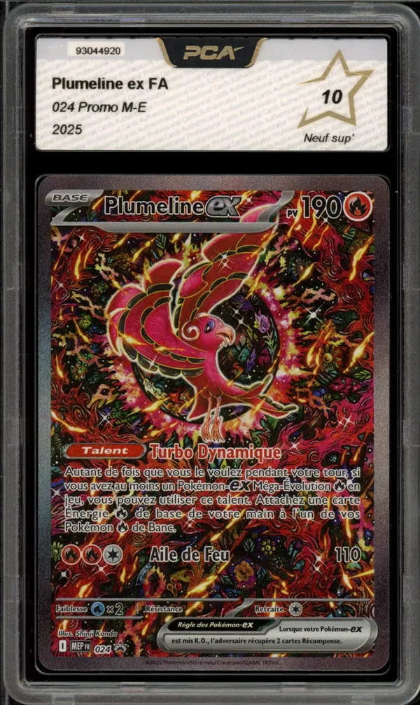 PCA 10 Plumeline Ex