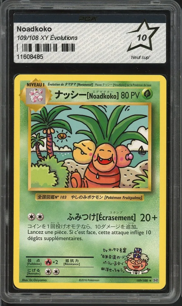 PCA 10 Noadkoko