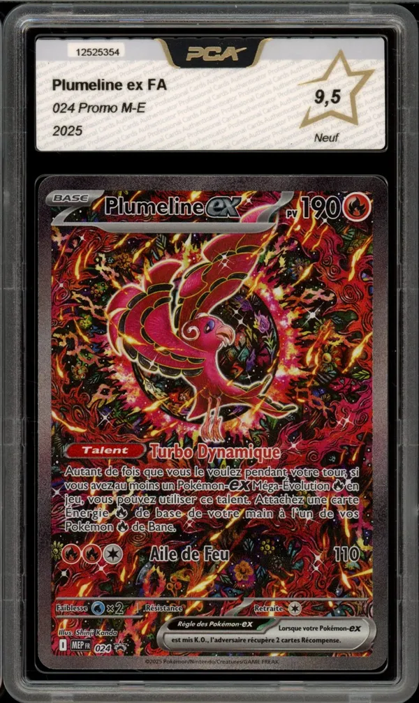 PCA 9.5 Plumeline Ex