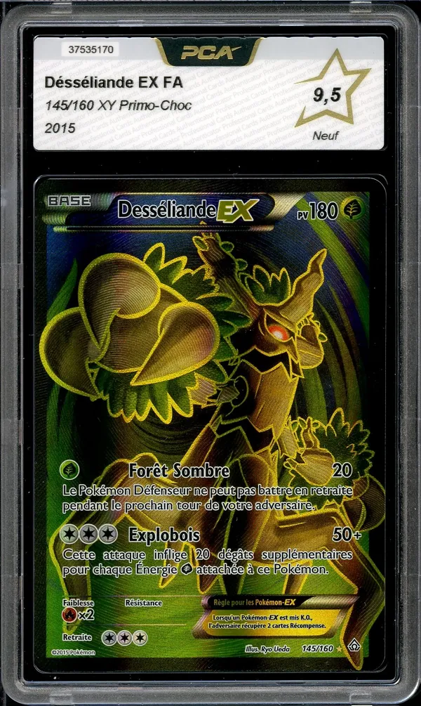 PCA 9.5 Désséliande Ex