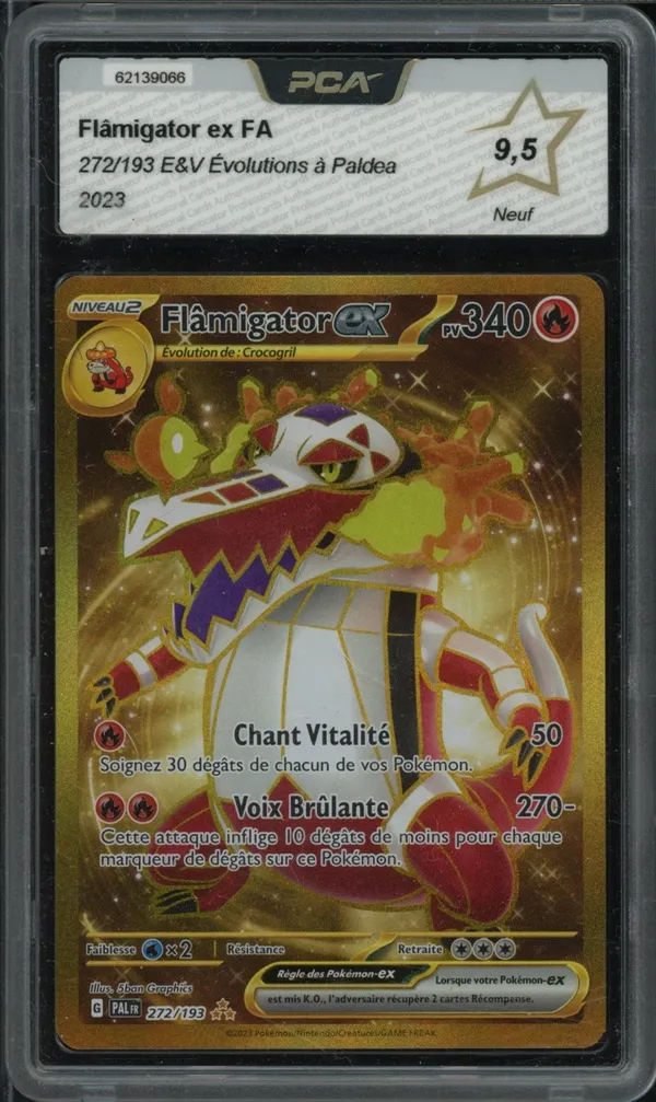 PCA 9.5 Flâmigator Ex Gold