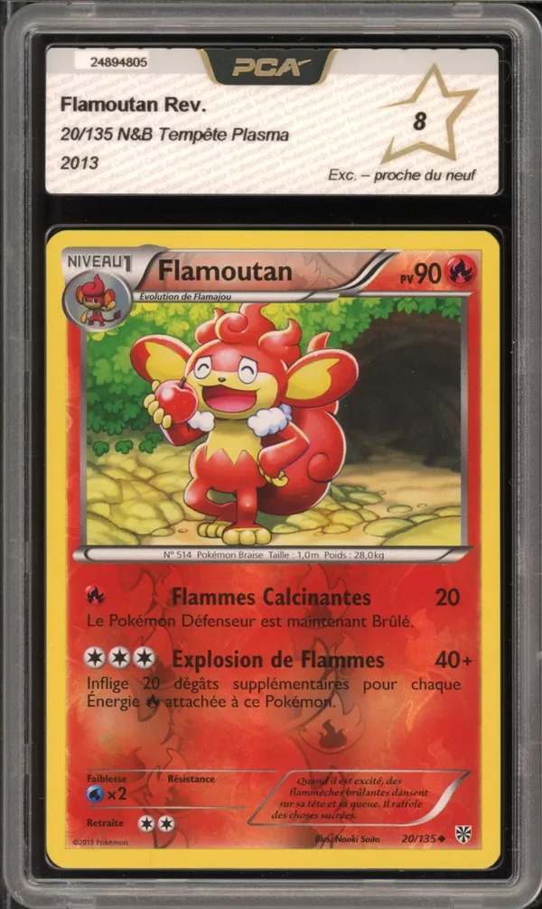 PCA 8 Flamoutan Reverse