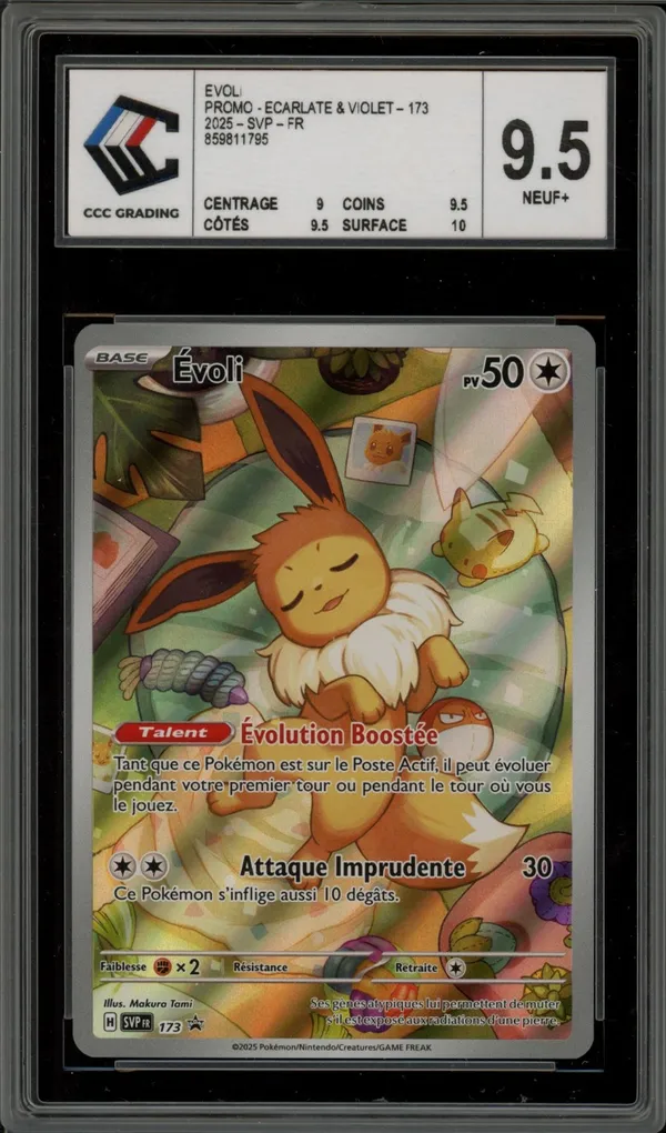 CCC 9.5 Evoli