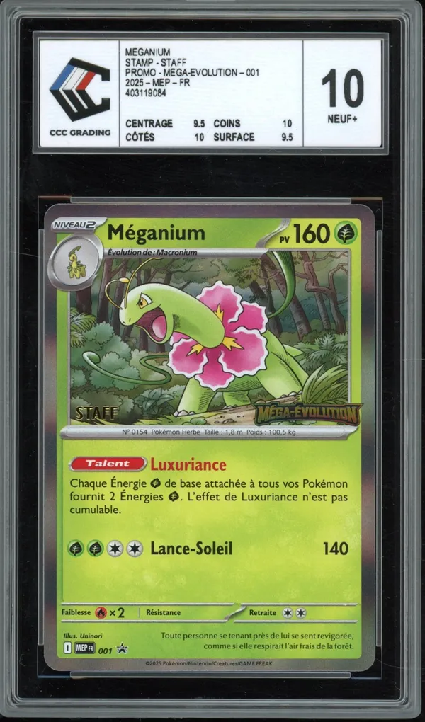 CCC 10 Méganium Holo Prerelease Staff