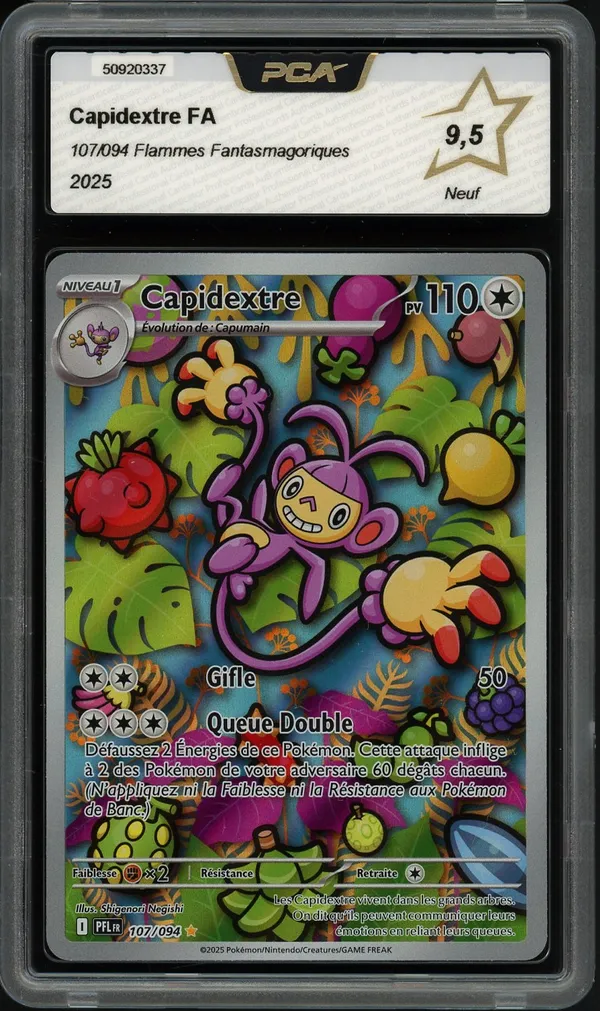 PCA 9.5 Capidextre