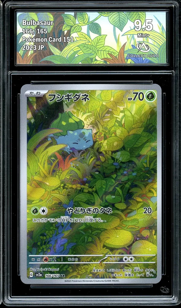 CA 9.5 Bulbasaur