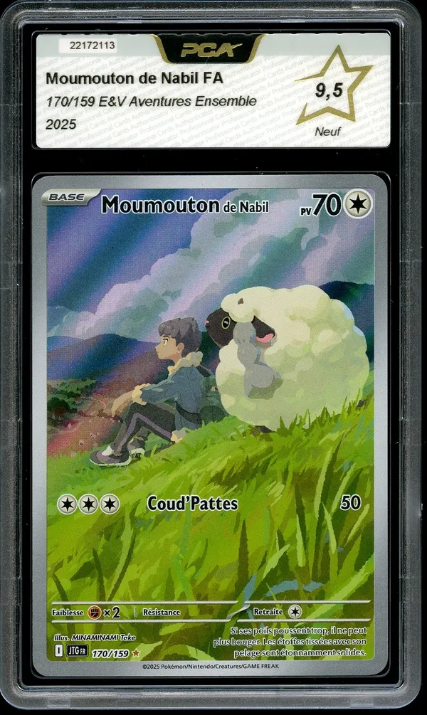 PCA 9.5 Moumouton de Nabil