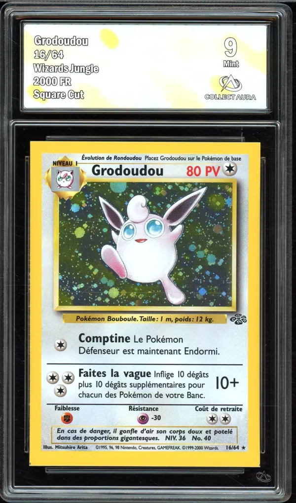 CA 9 Grodoudou Holo