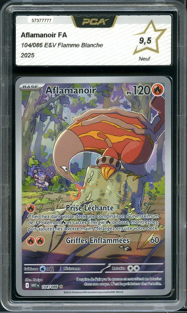 PCA 9.5 Aflamanoir