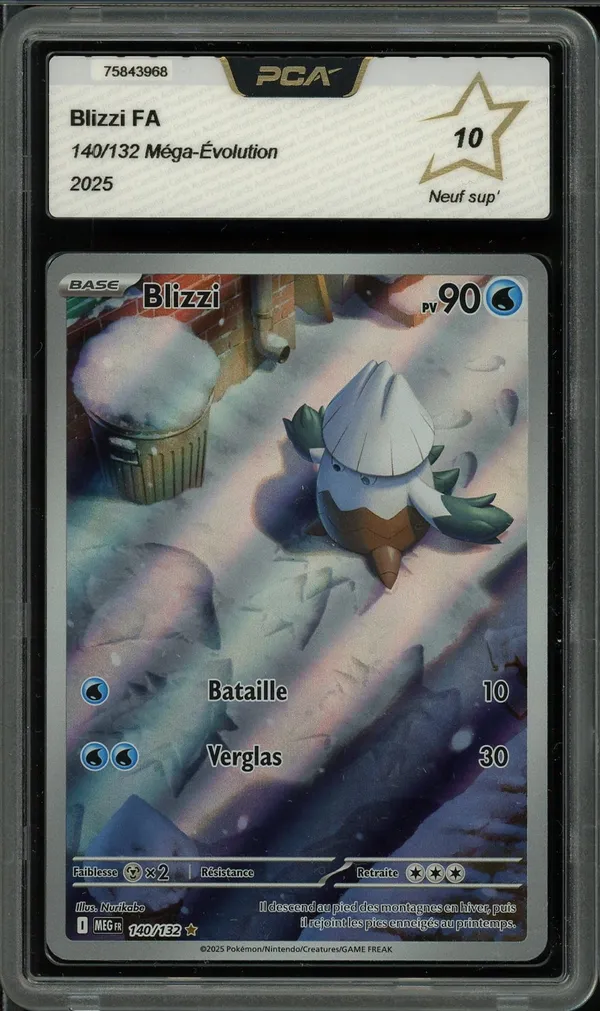 PCA 10 Blizzi