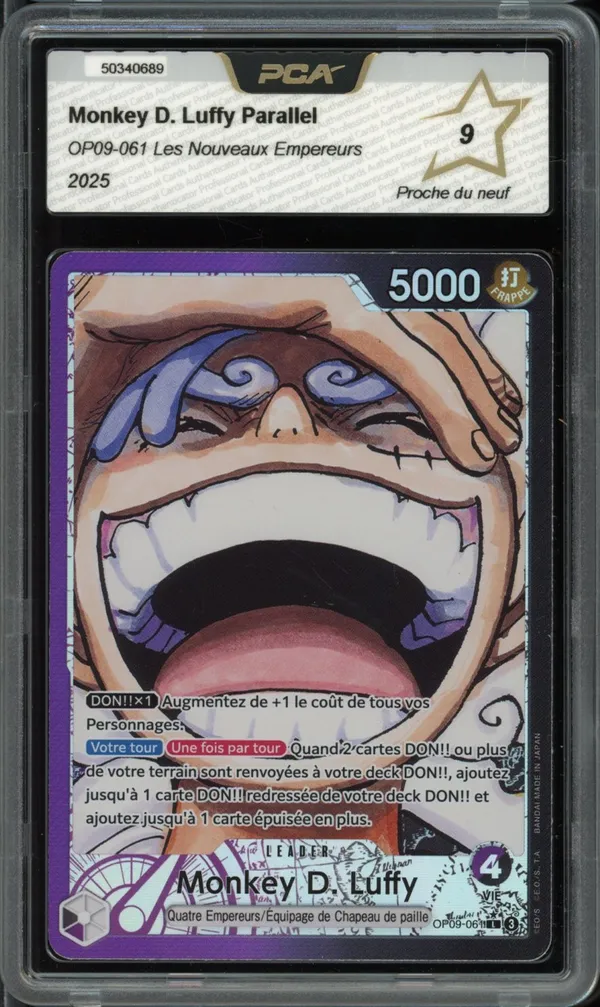 PCA 9 Monkey D. Luffy