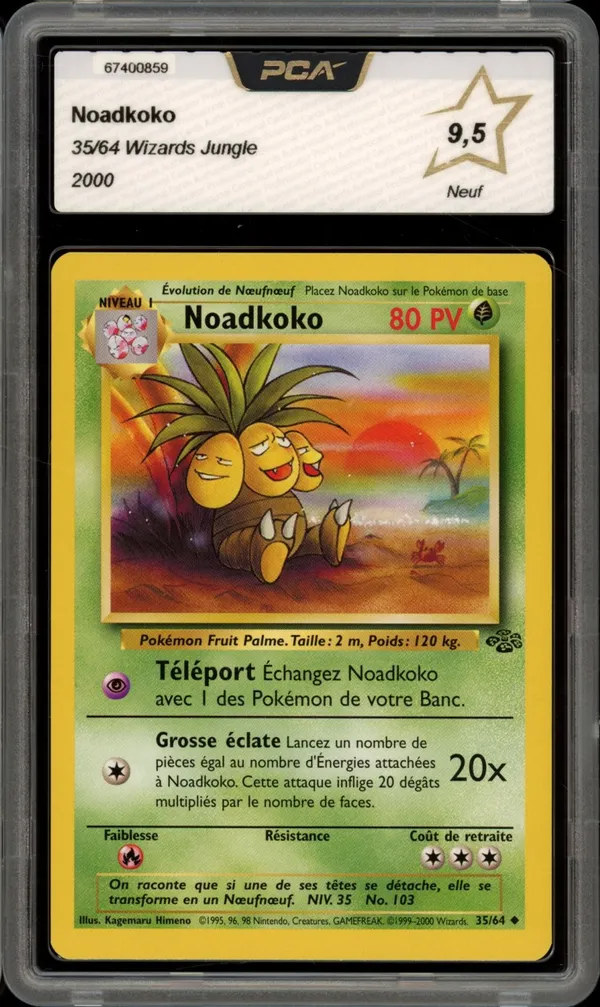 PCA 9.5 Noadkoko