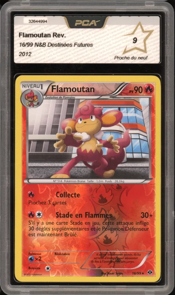 PCA 9 Flamoutan Reverse