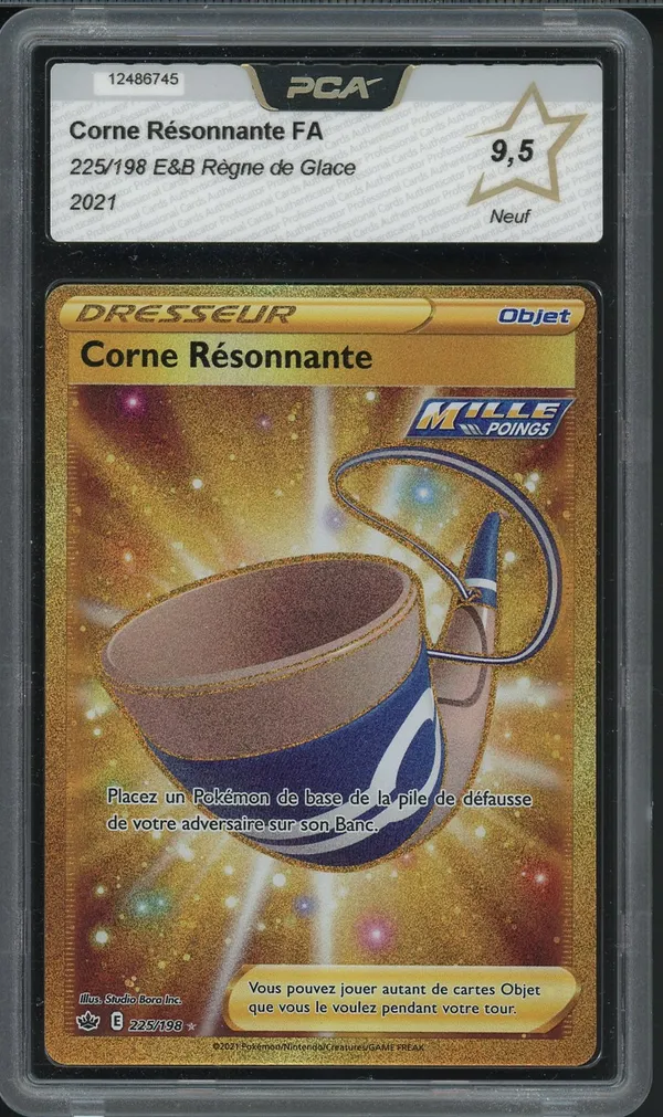 PCA 9.5 Corne Résonnante