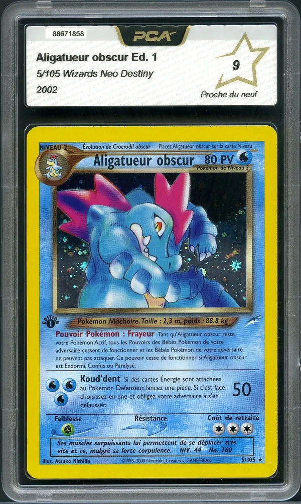 PCA 9 Aligatueur Obscur Holo