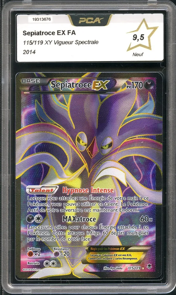 PCA 9.5 Sépiatroce Ex
