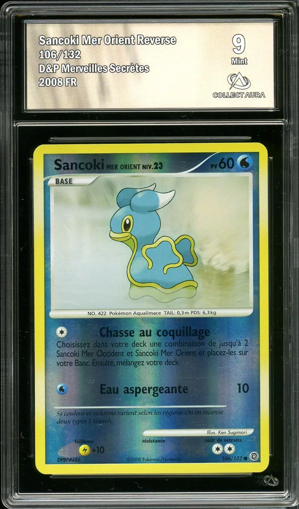 CA 9 Sancoki Reverse