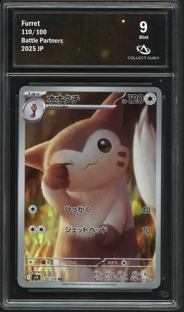 CA 9 Furret