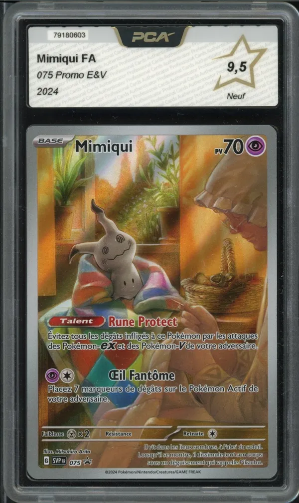 PCA 9.5 Mimiqui
