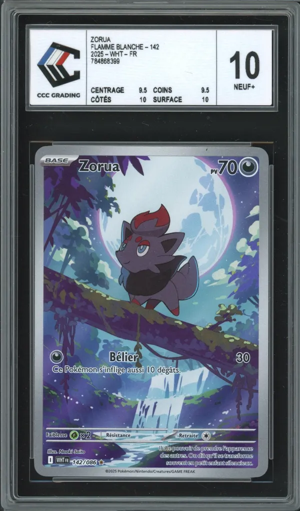 CCC 10 Zorua