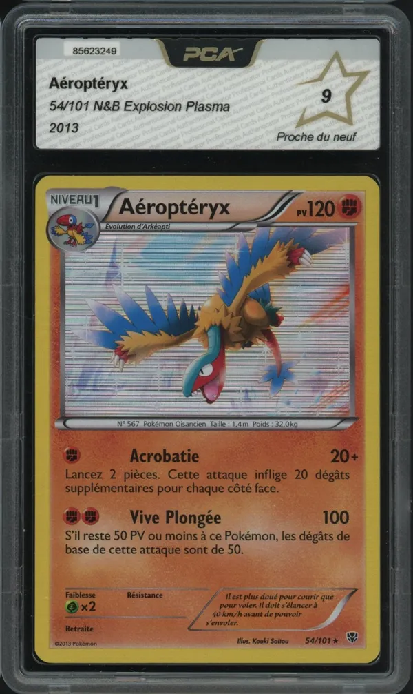 PCA 9 Aéroptéryx Holo