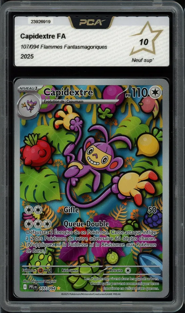 PCA 10 Capidextre