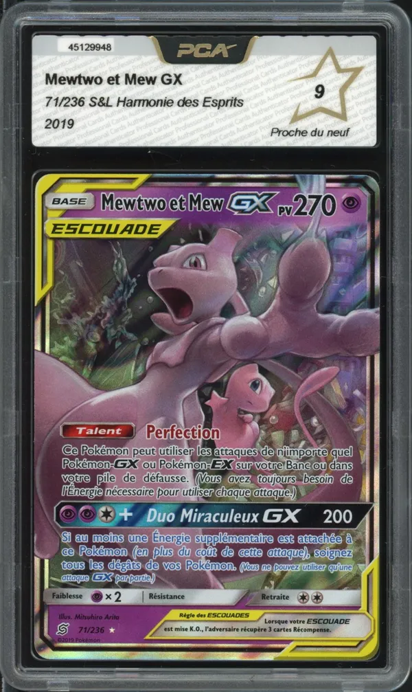 PCA 9 Mewtwo et Mew Gx