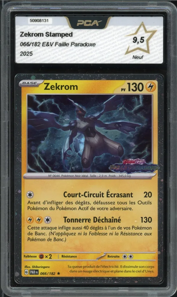 PCA 9.5 Zekrom Holo Stamp