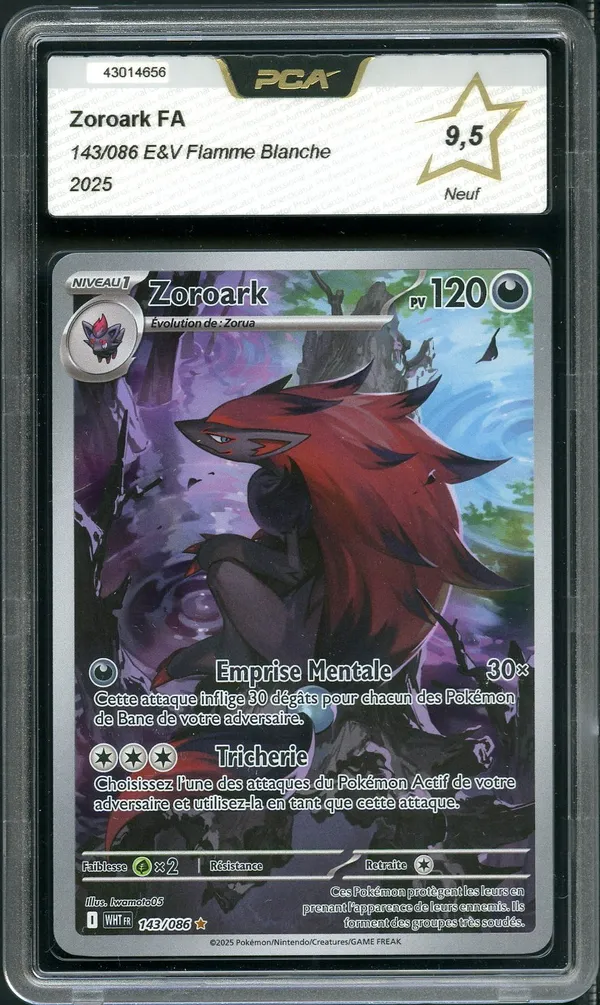 PCA 9.5 Zoroark