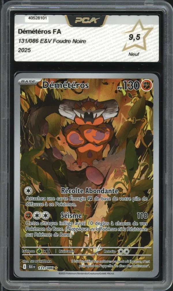 PCA 9.5 Démétéros