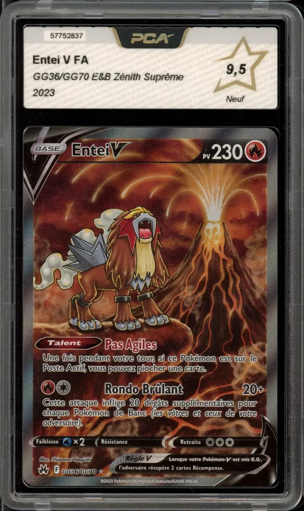 PCA 9.5 Entei V