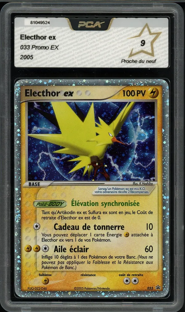PCA 9 Electhor Ex