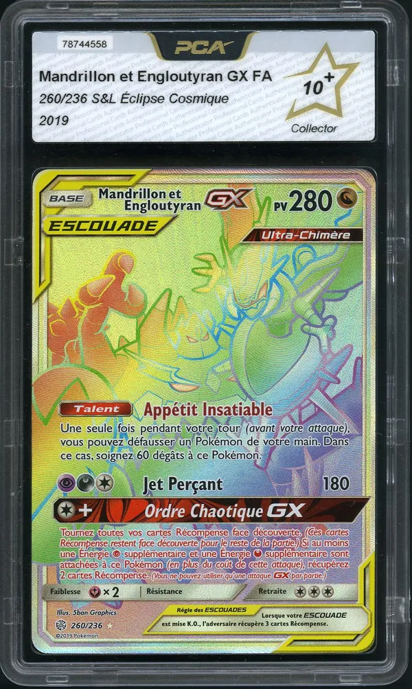 PCA 10+ Mandrillon et Engloutyran Gx Rainbow