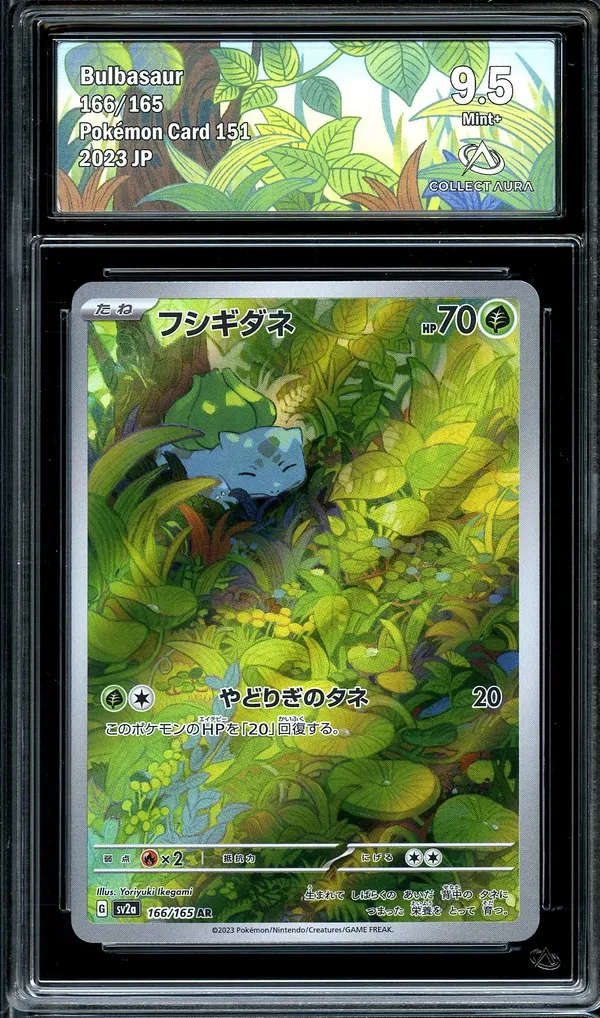 CA 9.5 Bulbasaur