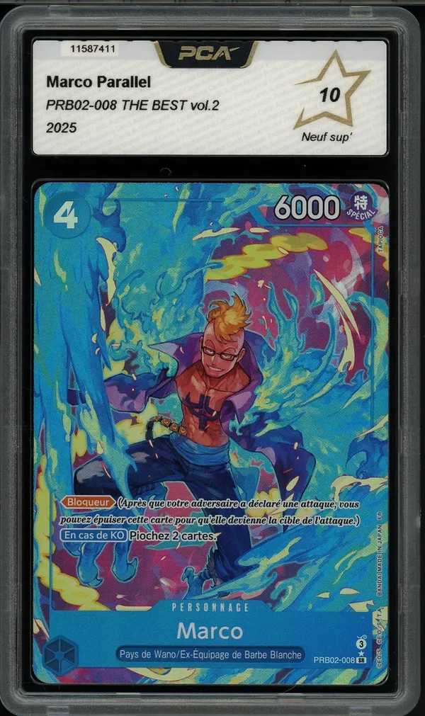 PCA 10 Marco
